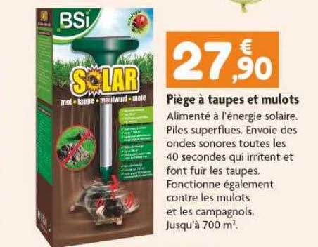 piège à taupes et mulots