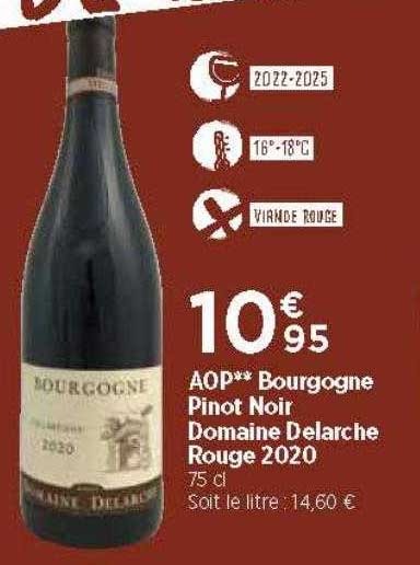 aop bourgogne pinot noir domaine delarche rouge 2020