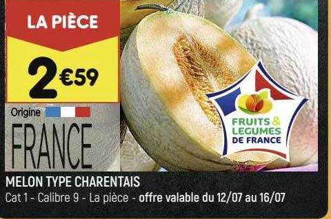 melon type charentais