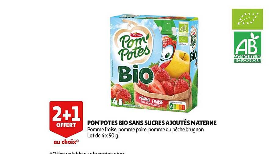 Pom'potes Bio Sans Sucres Ajoutés Materne 2+1 Au Choix