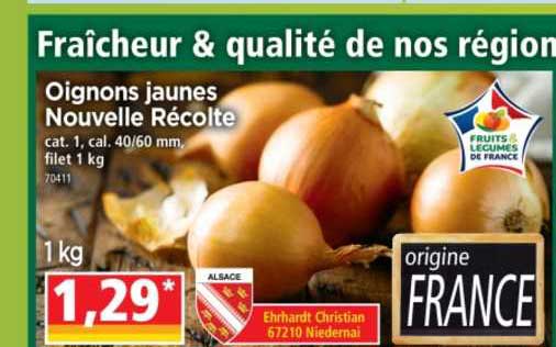 Oignons Jaunes Nouvelle Récolte