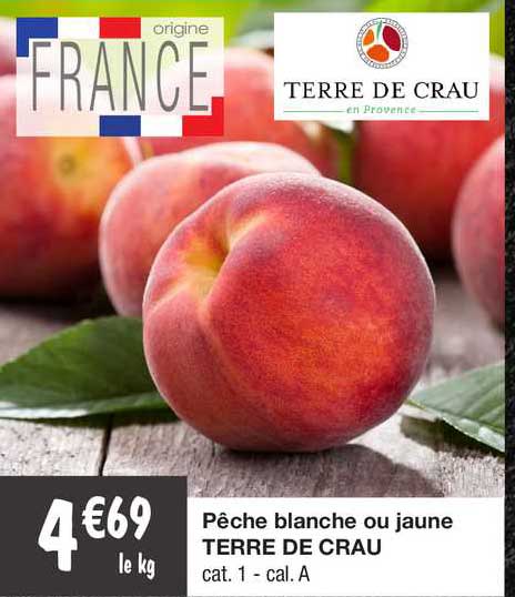 pêche blanche ou jaune terre de crau