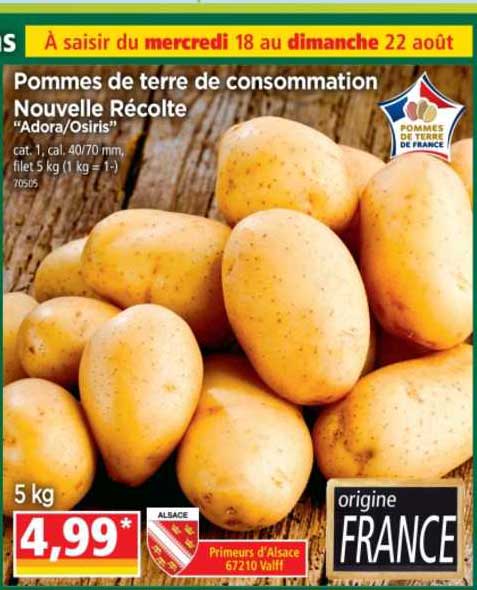 pommes de terre de consommation nouvelle récolte "adora-osiris"