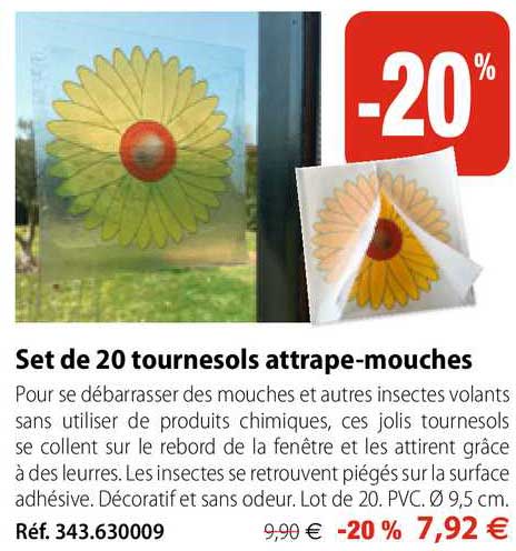 set de 20 tournesols attrape-mouches