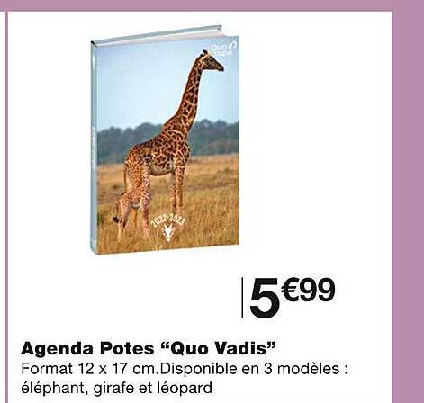 agenda potes "quo vadis"