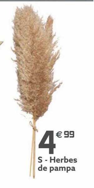 herbes de pampa