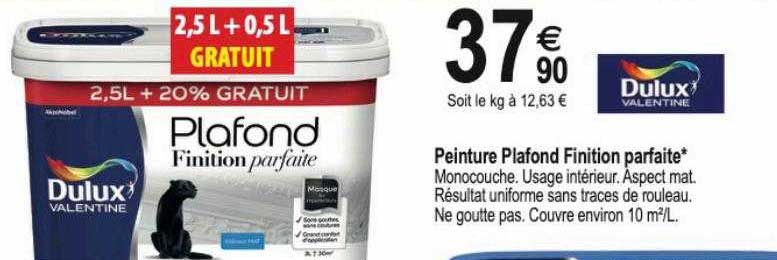 peinture plafond finition parfaite*