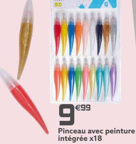 pinceau avec peinture intégrée x18