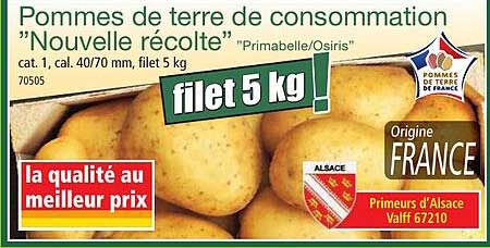 pommes de terre de consommation "nouvelle récolte"