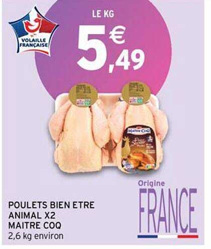 poulets bien être animal x2 maître coq