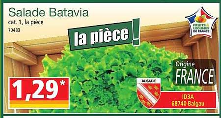 Salade Batavia