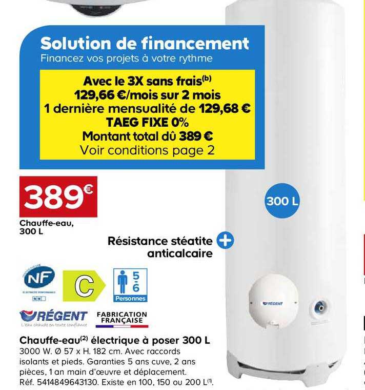 chauffe eau électrique à poser 300 l régent