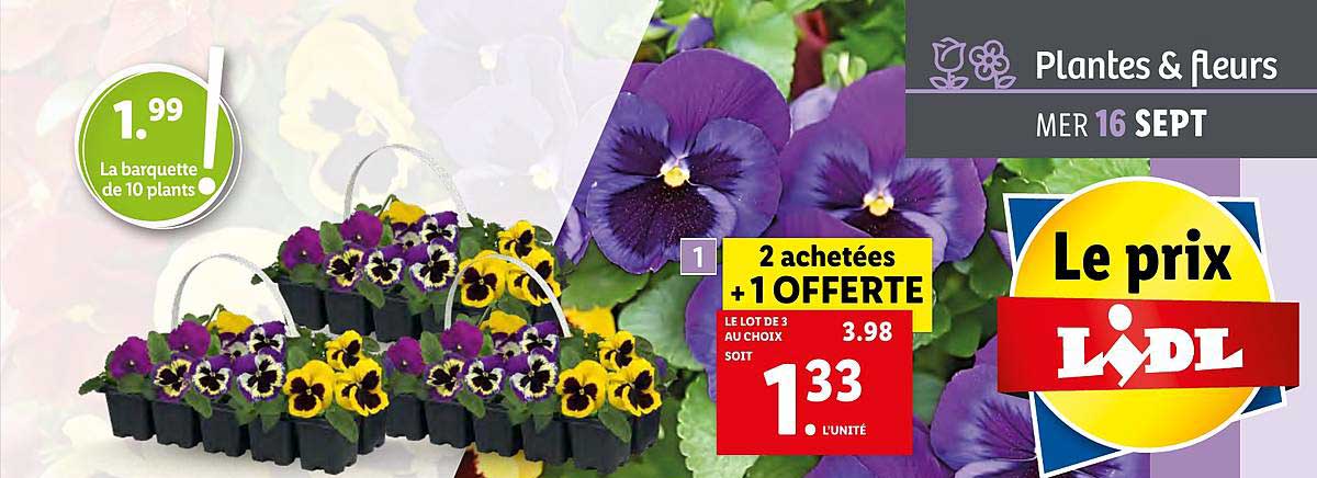 plantes&fleurs 2 achetées + 1 offerte