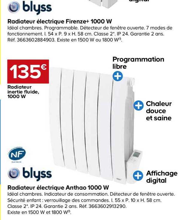 radiateur éléctrique anthao 1000 w blyss