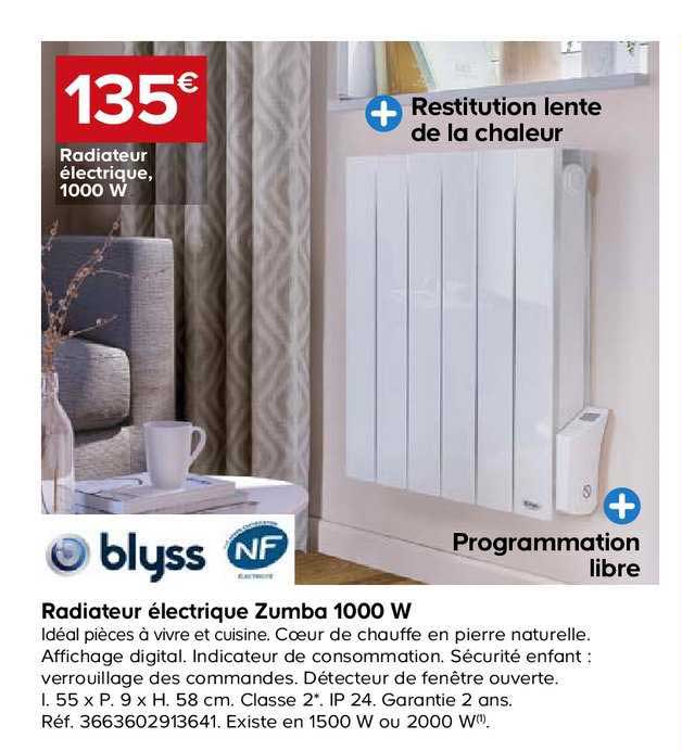 radiateur électrique zumba 1000 w