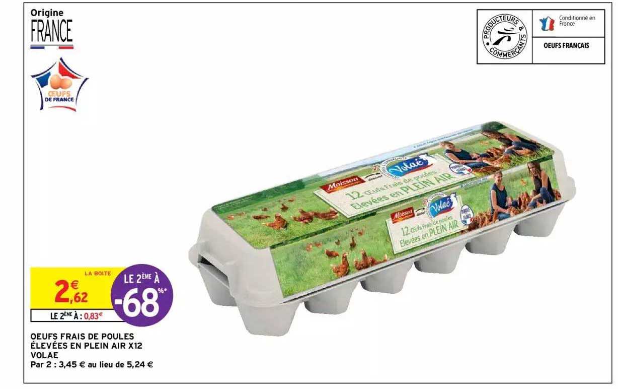 Oeufs Frais De Poules élevées En Plein Air X12 Volaé