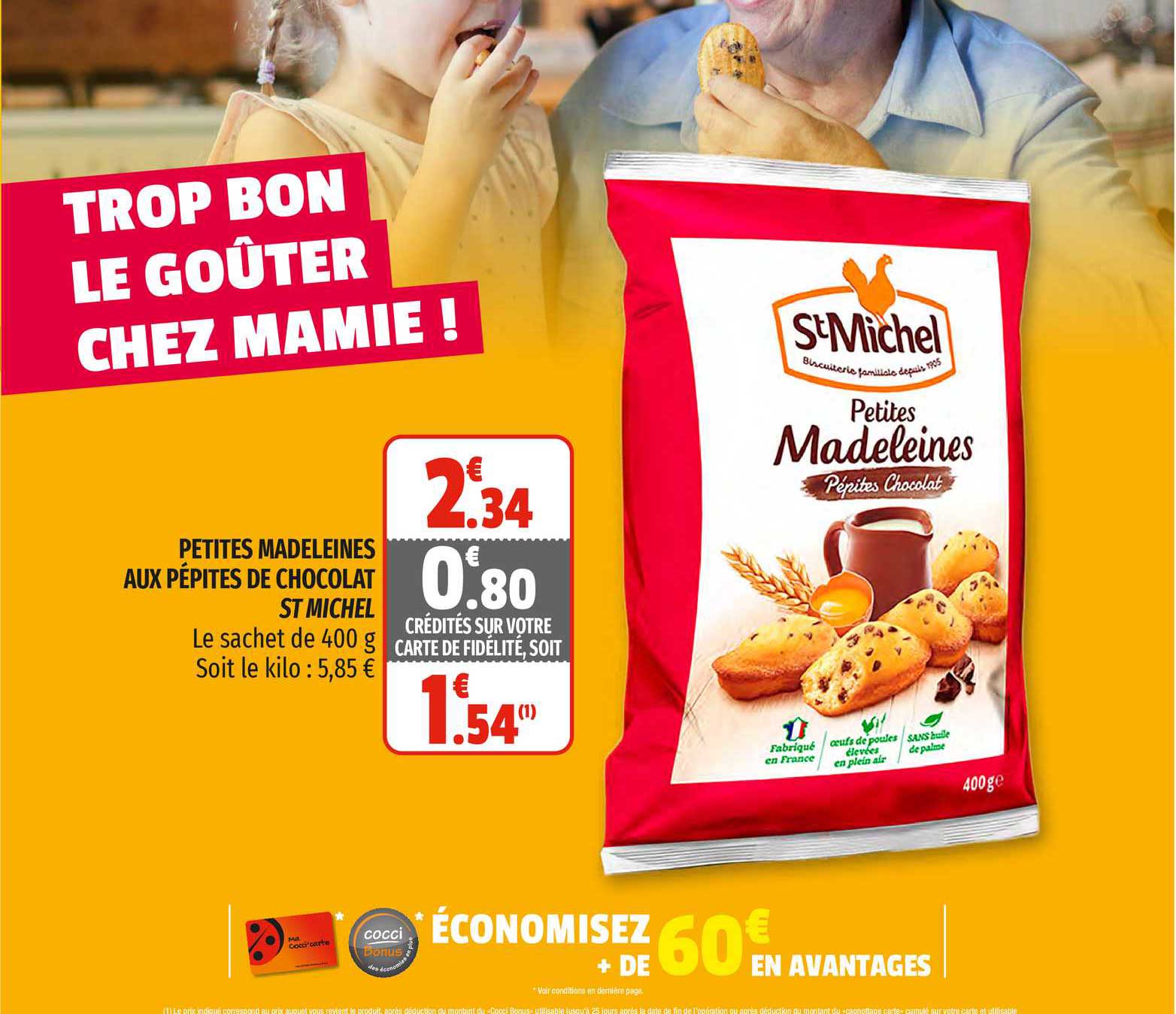 petites madeleines aux pépites de chocolat st michel