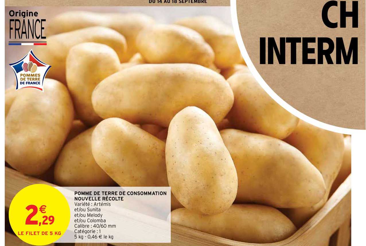 pomme de terre de consommation nouvelle récolte