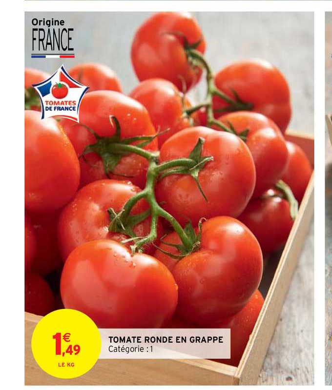 Tomate Ronde En Grappe