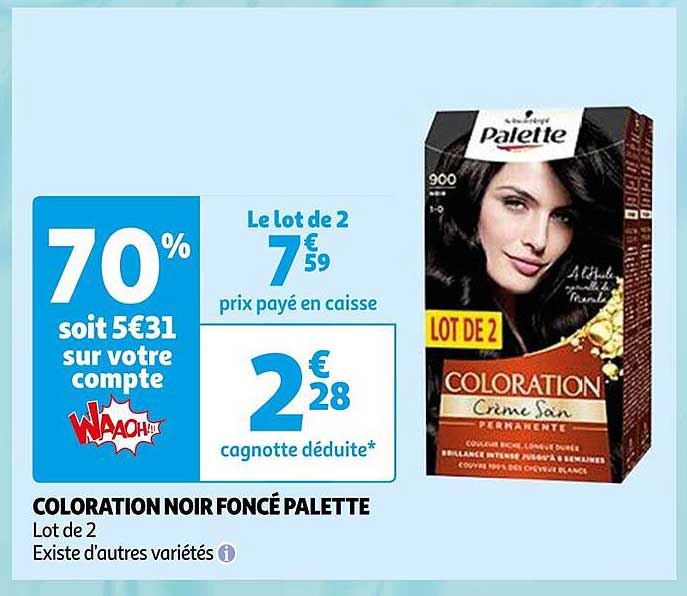 coloration noir foncé palette