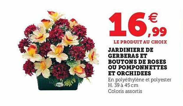 Jardinière De Gerberas Et Boutons De Roses Ou Pomponnettes Et Orchidées