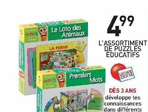 l'assortiment de puzzles éducatifs