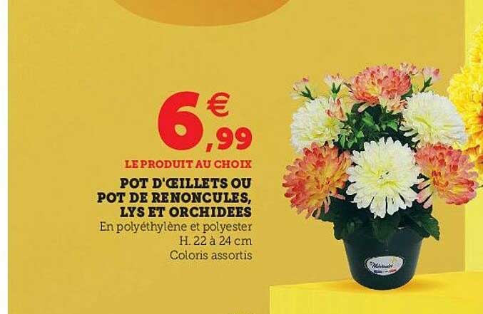pot d'oeillets ou pot de renoncules, lys et orchidées