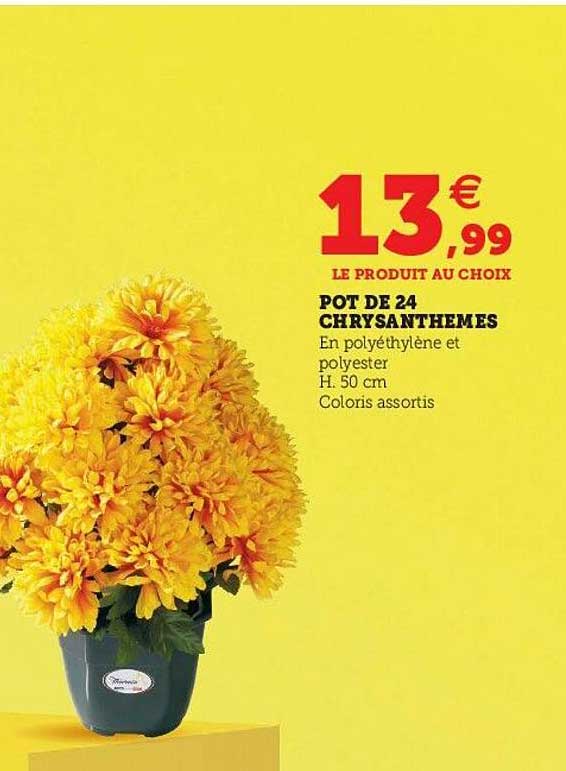 Pot De 24 Chrysanthèmes