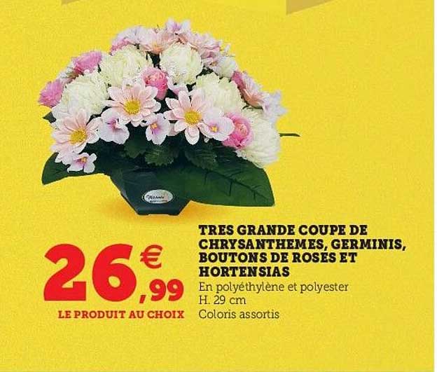 très grande coupe de chrysanthèmes, germinis, hortensias