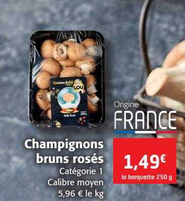 champignons bruns rosés
