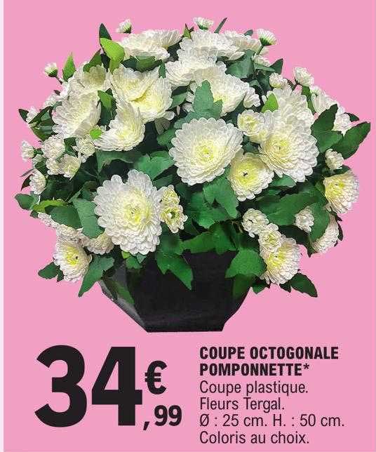 coupe octogonale pomponnette