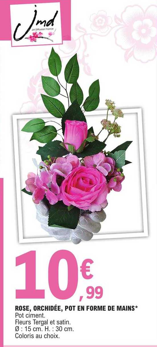 Rose, Orchidée, Pot En Forme De Mains