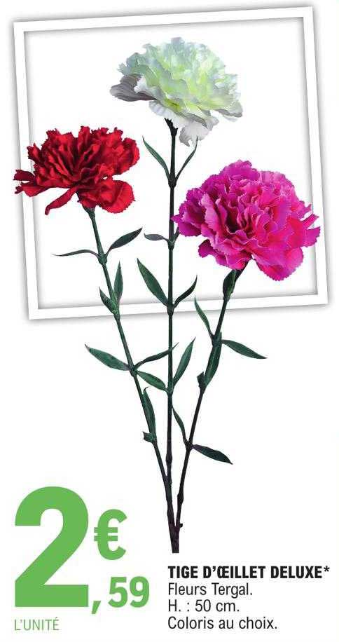 tige d'œillet deluxe