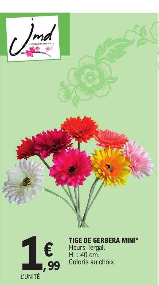 tige de gerbera mini