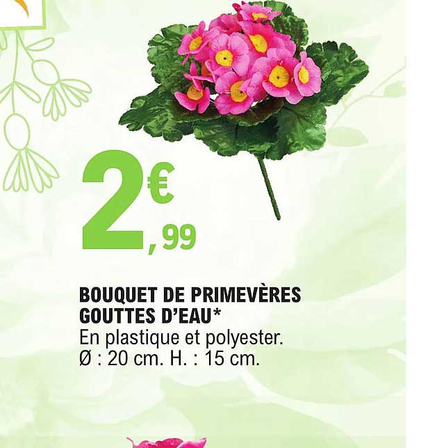 bouquet de primevères gouttes d'eau