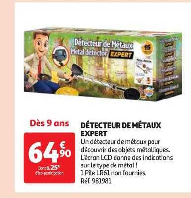détecteur de métaux expert