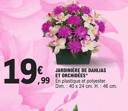 Jardinière De Dahlias Et Orchidées