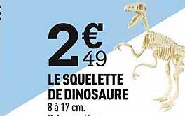 Le Squelette De Dinosaure