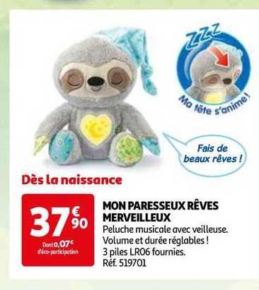 mon paresseux rêves merveilleux