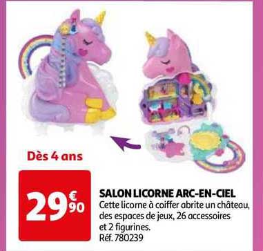 salon licorne arc-en-ciel