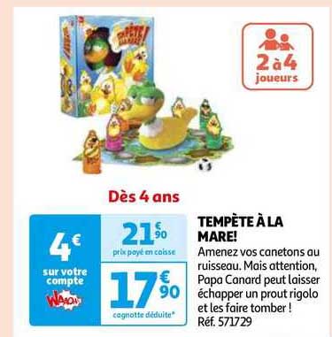 tempète à la mare!