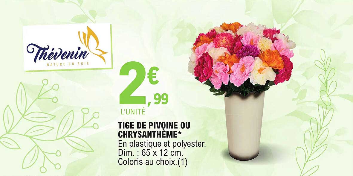 tige de pivoine ou chrysanthème