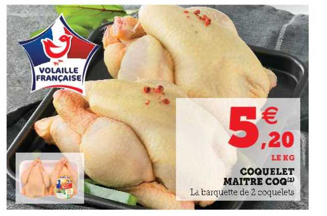 coquelet maître coq