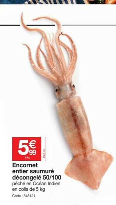 encornet entier saumuré décongelé 50-100