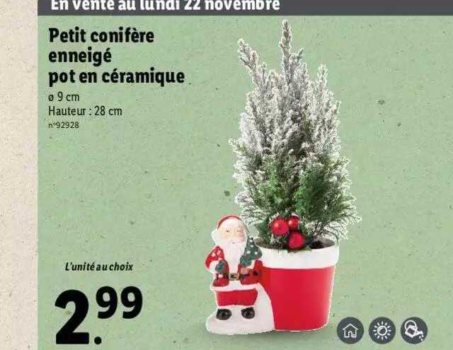 petit conifère enneigé pot en céramique