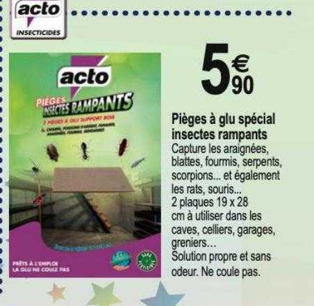pièges à glu spécial insectes rampants acto