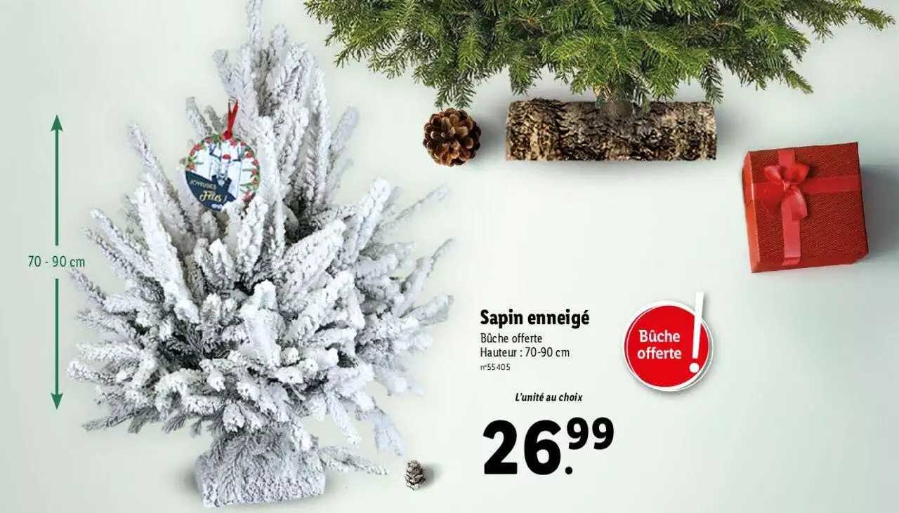 sapin enneigé