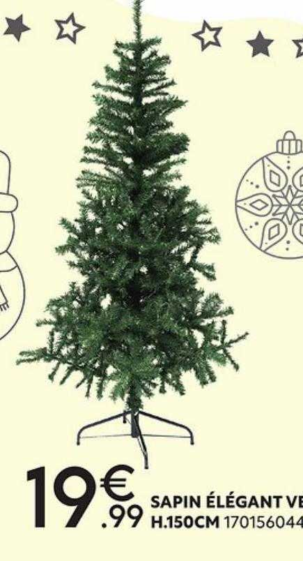 sapin élégant vert