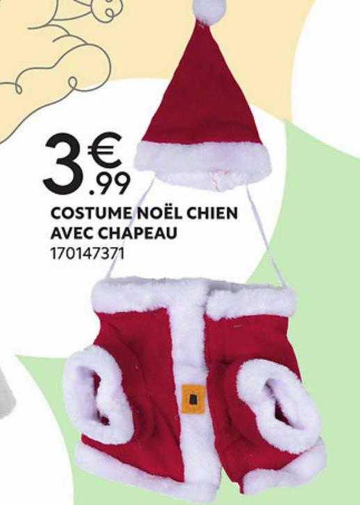 costume noël chien avec chapeau