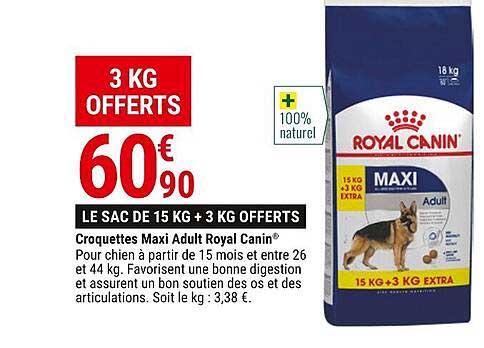 croquettes maxi adult royal canin